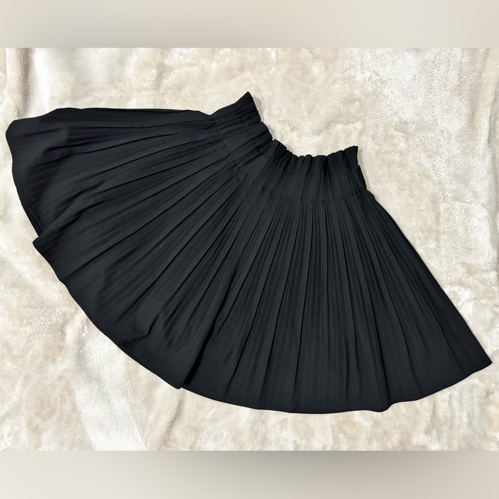 Zara Black Midi A-Line Pleated Skirt